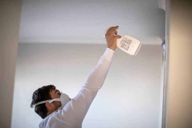Best Mold Removal Near Me  in Sutter Creek, CA