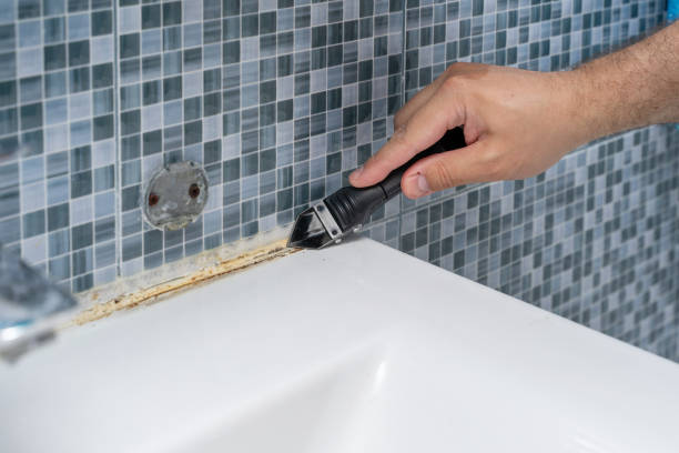 Best Mold Removal Company Near Me  in Sutter Creek, CA